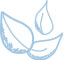 picto 3 feuilles