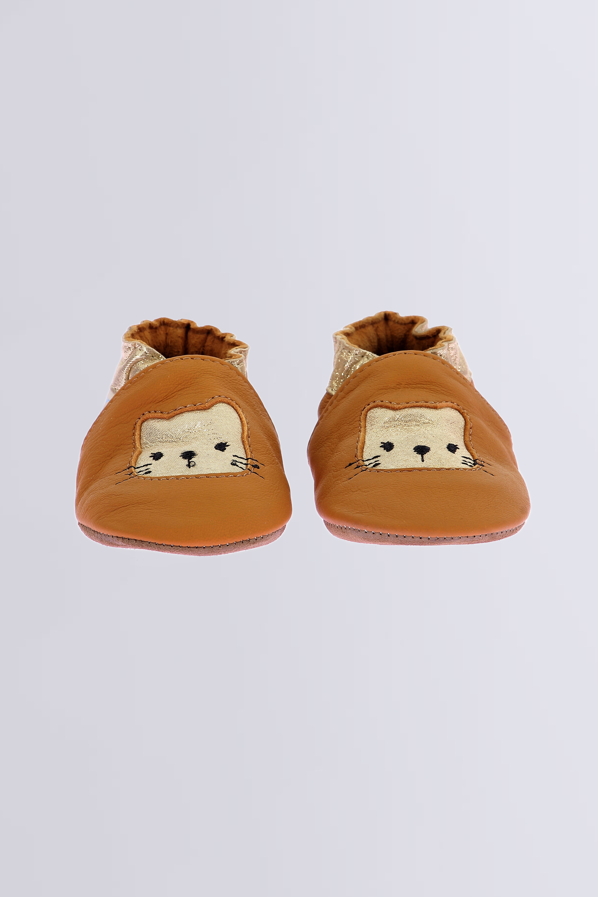 Wild kitten Camel Wild kitten Camel