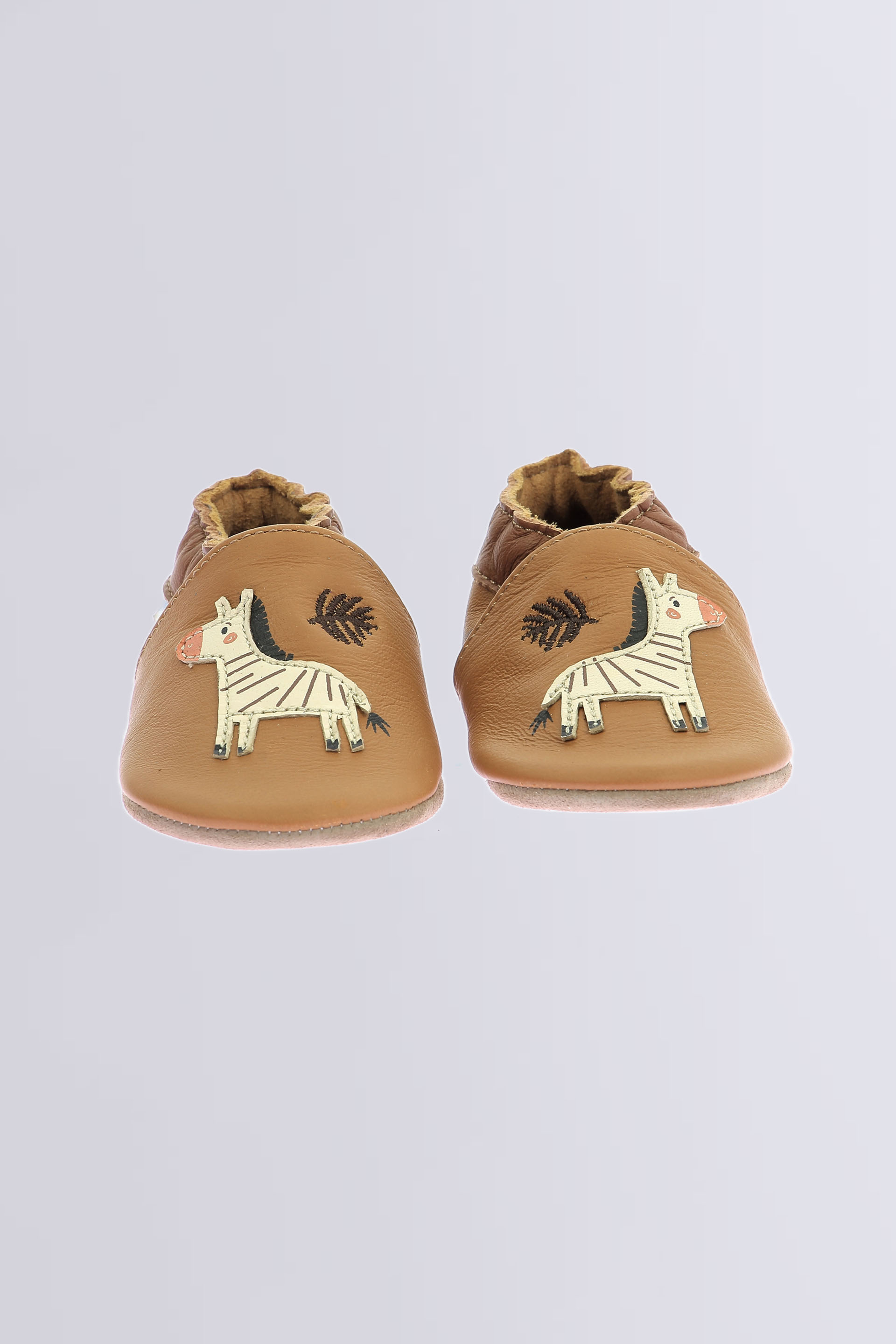 Jungle zebra Camel Jungle zebra Camel